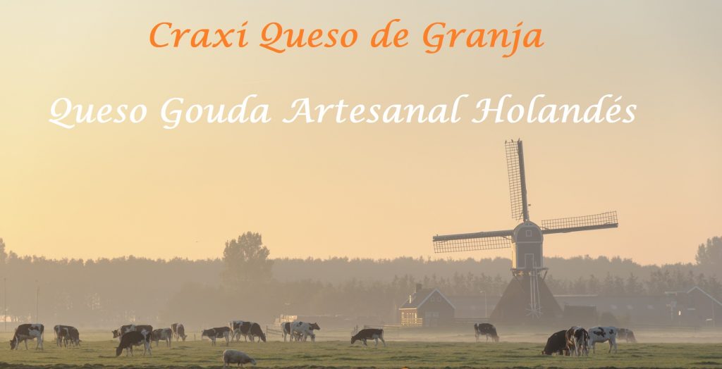 Inicio queso Gouda, Craxi Gouda el auténtico queso Gouda de Holanda de leche cruda de vaca