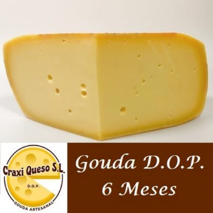 Queso curado 6 meses, queso Gouda artesanal de granja holandés, Gouda DOP elaborado con leche cruda de vaca y madurado durante seis meses