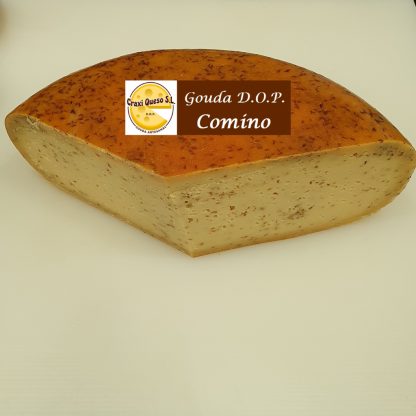 Queso con comino, queso Gouda artesano D.O.P. holandés con semillas de comino, Gouda elaborado con leche cruda de vaca