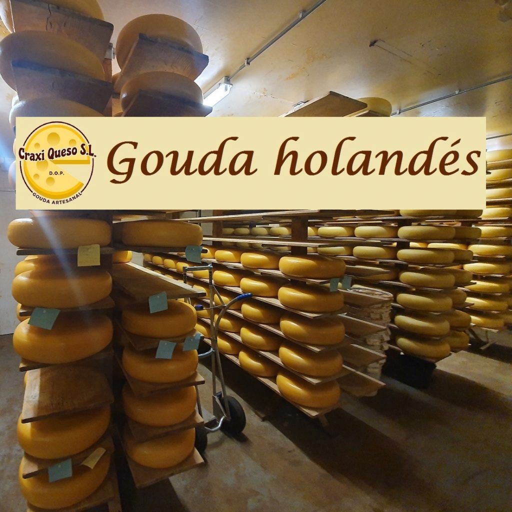 Compra el auténtico gouda holandés en España. Queso Gouda artesanal elaborado con leche (cruda) de vaca en el granja quesera de los Países Bajos
