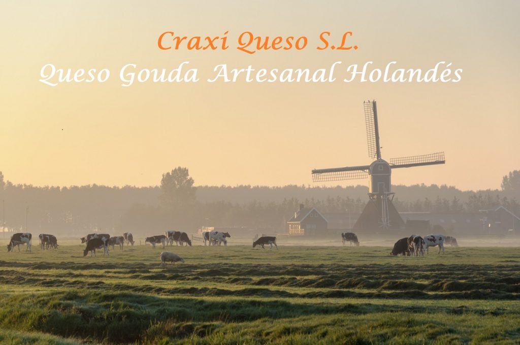 Queso natural - El auténtico queso Gouda natural holandés elaborado en la granja con leche cruda de vaca