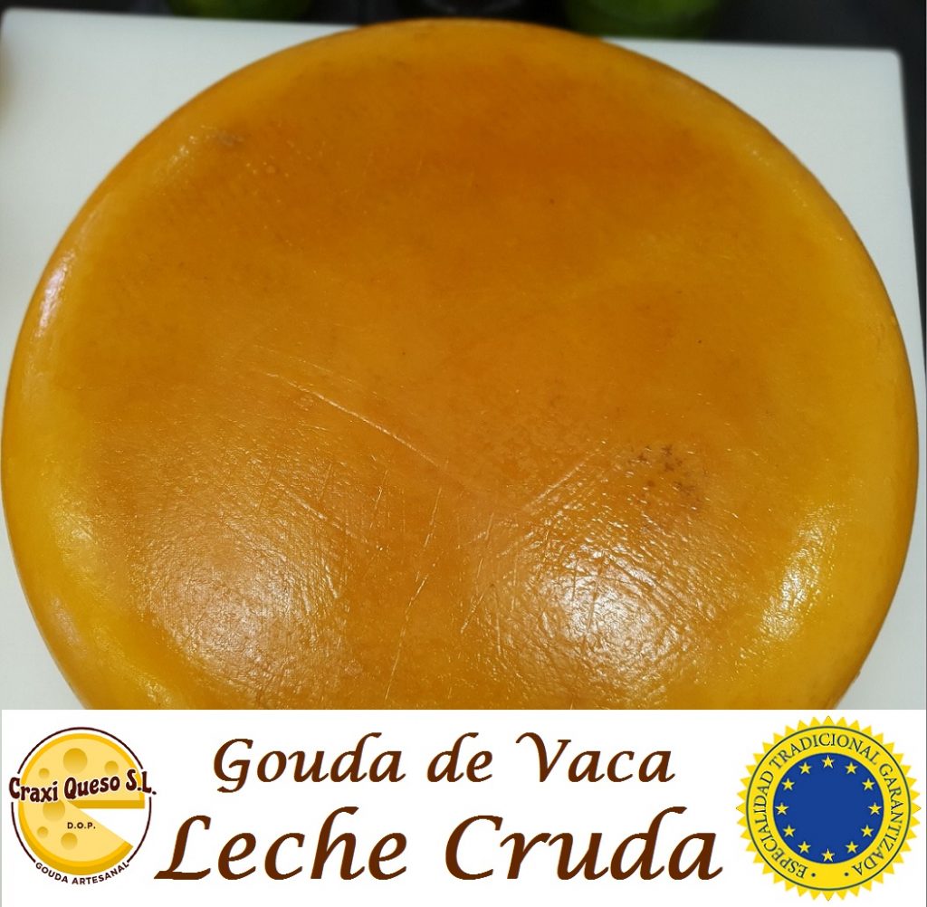 El mejor queso de Holanda. Queso Gouda de granja