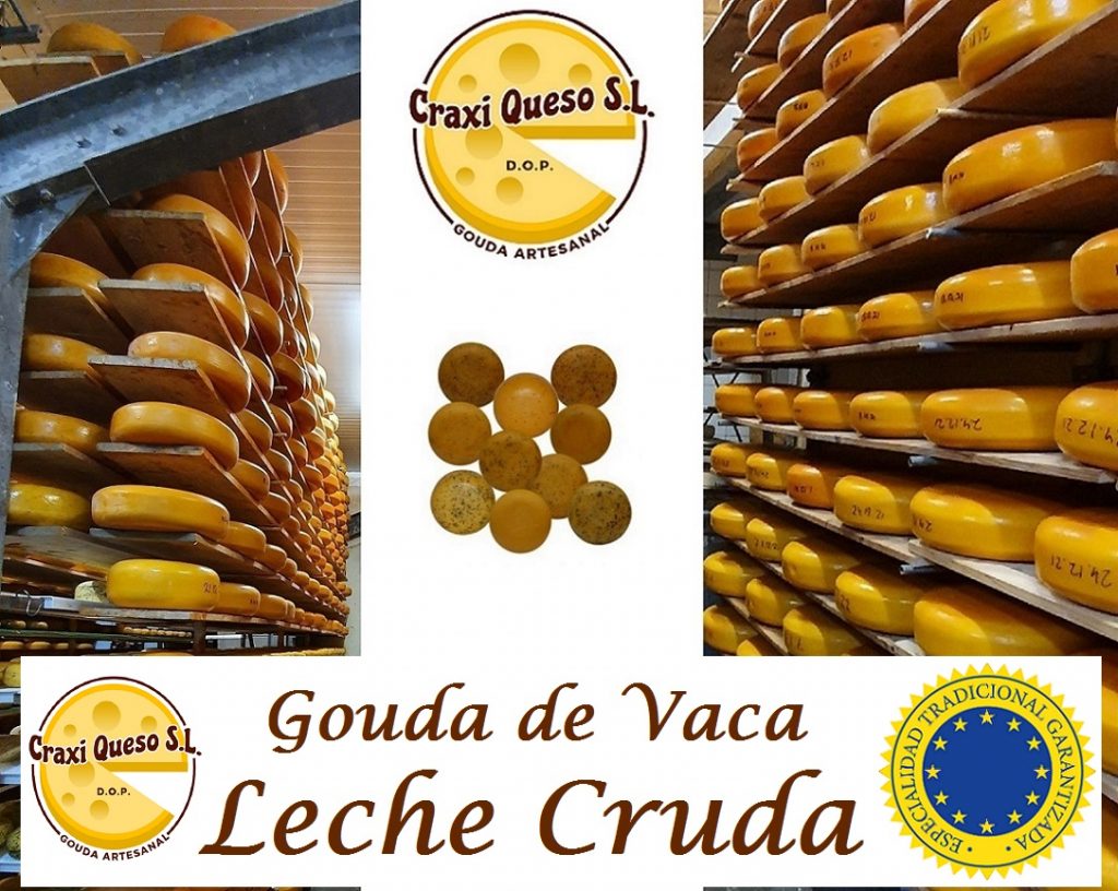 El tiempos de maduración del queso Gouda natural de Craxi. Queso Gouda holandés artesanal elaborado con leche cruda de vaca a la venta en España
