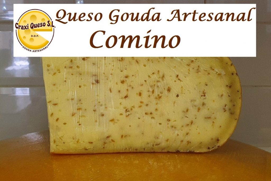 Gouda con comino precio 22,60 €/kg – sabor tradicional holandés. Gouda con comino de textura cremosa y sabor especiado es elaborado con leche cruda de vaca y madurado durante cinco meses.